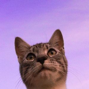 Meet your Posher, Yike